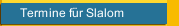 Termine f&uuml;r Slalom