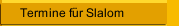 Termine f&uuml;r Slalom